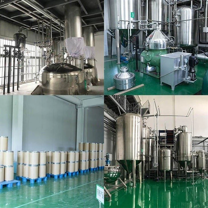 Butterfly Pea Flower Powder factory