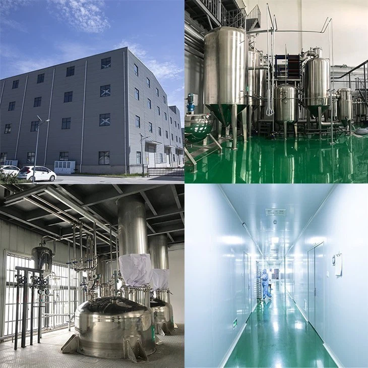 Rambutan Powder suppliers