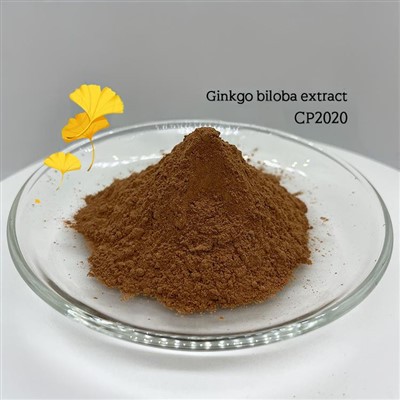 Ginkgo Biloba Extract