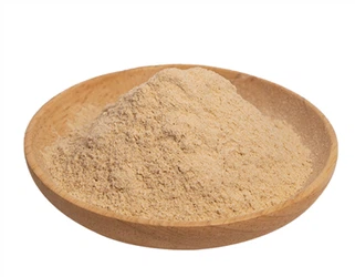 Organic Noni Powder