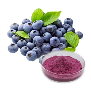 Organic Wild Blueberry Powder